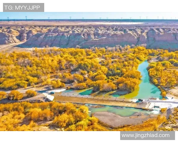 2025淮南马拉松热情开跑燃动全城